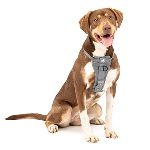 Kurgo Enhanced Strength Tru-Fit Dog Harness Charcoal