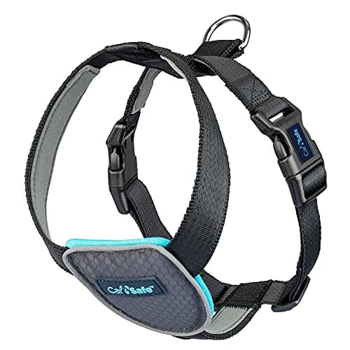 Company Of Animals CarSafe Dog Travel Harness