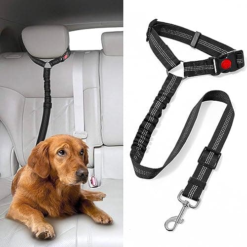 Hzpolang CQ04230701AQ1 Black Dog Car Harness
