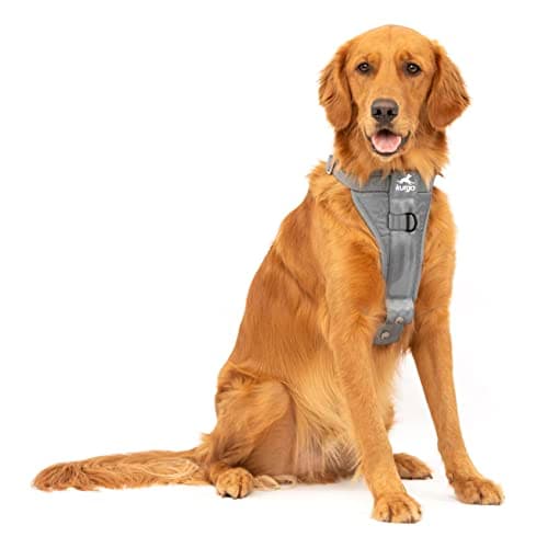 Crash Tested Dog Car Harnesses